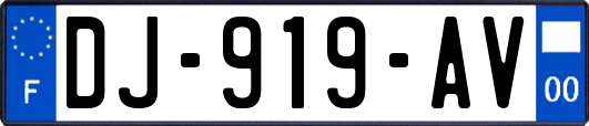 DJ-919-AV