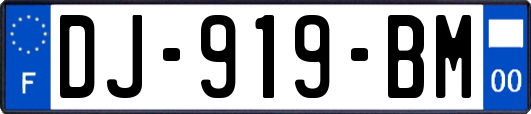 DJ-919-BM