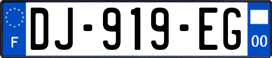 DJ-919-EG