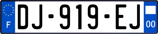 DJ-919-EJ