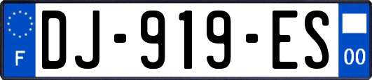 DJ-919-ES