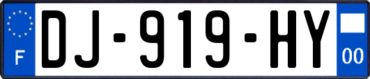 DJ-919-HY