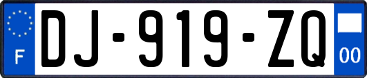 DJ-919-ZQ