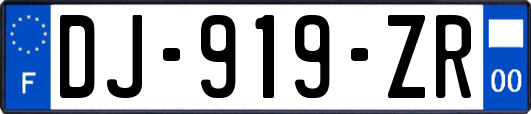 DJ-919-ZR