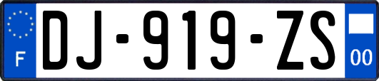 DJ-919-ZS
