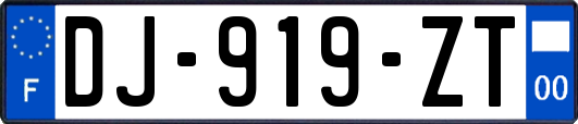 DJ-919-ZT