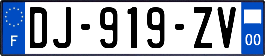 DJ-919-ZV