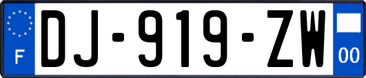 DJ-919-ZW