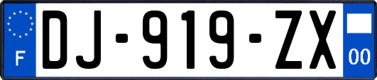 DJ-919-ZX