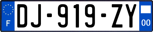 DJ-919-ZY