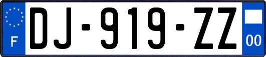DJ-919-ZZ