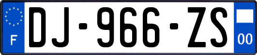 DJ-966-ZS
