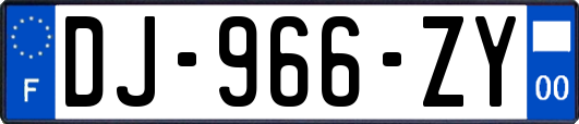 DJ-966-ZY