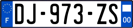 DJ-973-ZS
