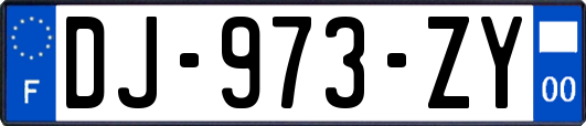 DJ-973-ZY