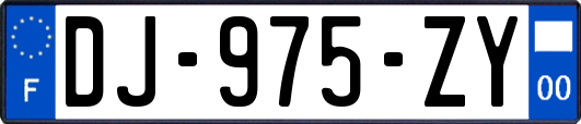 DJ-975-ZY