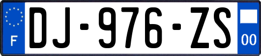 DJ-976-ZS