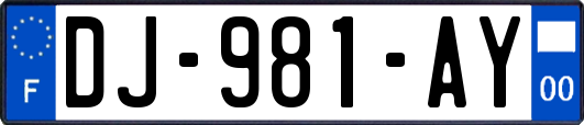 DJ-981-AY