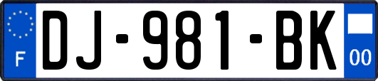 DJ-981-BK