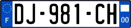 DJ-981-CH