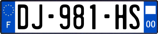 DJ-981-HS