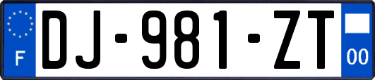 DJ-981-ZT
