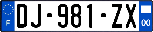 DJ-981-ZX