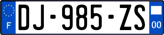 DJ-985-ZS