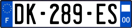 DK-289-ES