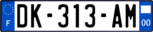 DK-313-AM