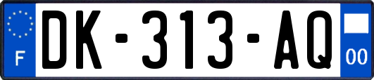 DK-313-AQ