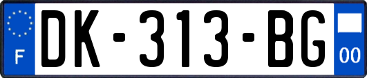 DK-313-BG