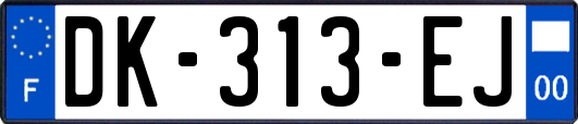 DK-313-EJ