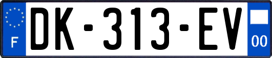 DK-313-EV