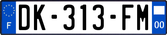 DK-313-FM