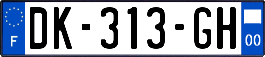 DK-313-GH