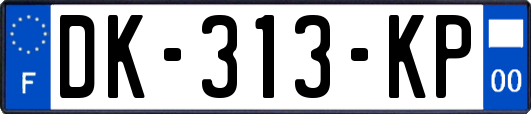 DK-313-KP