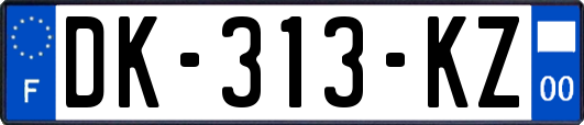 DK-313-KZ