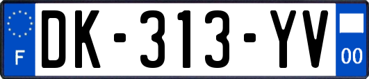 DK-313-YV