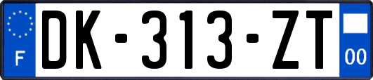 DK-313-ZT