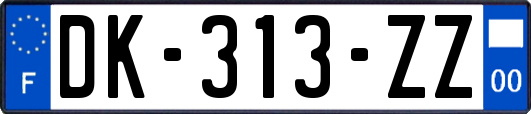 DK-313-ZZ
