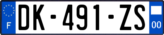 DK-491-ZS