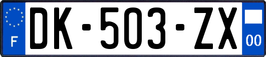 DK-503-ZX