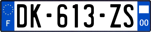 DK-613-ZS