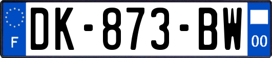 DK-873-BW