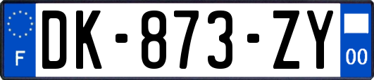 DK-873-ZY