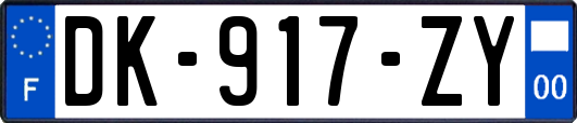DK-917-ZY