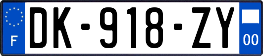 DK-918-ZY