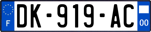 DK-919-AC