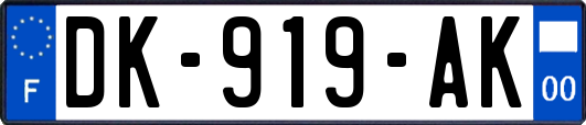 DK-919-AK